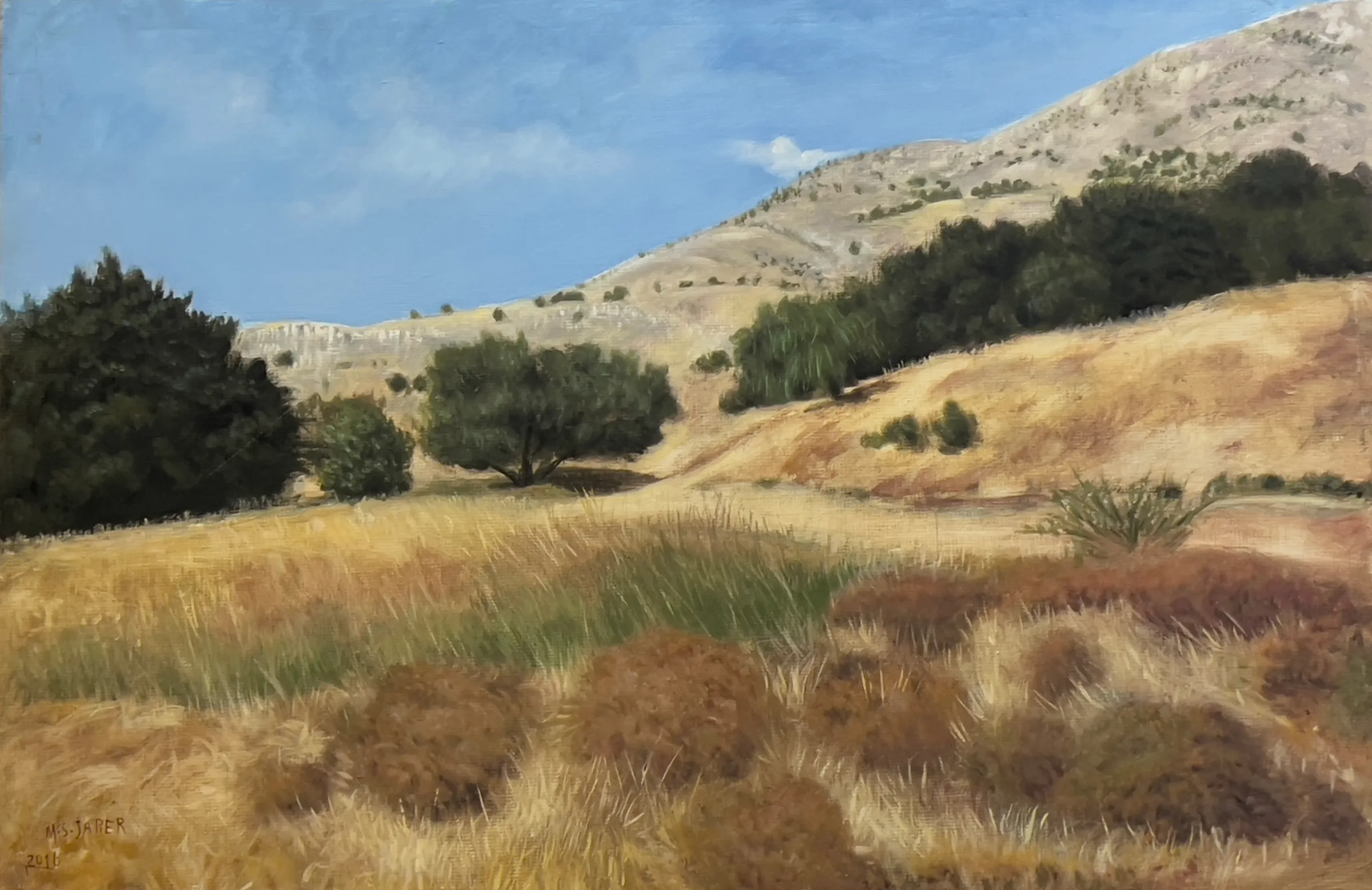 Landscape